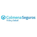 colmena_Mesa de trabajo 1